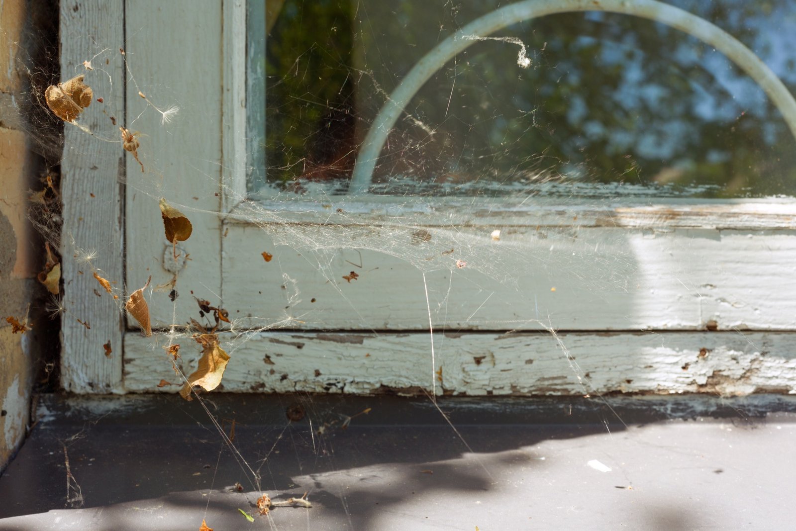 Fenstersims mit Vogelkot wird gereinigt