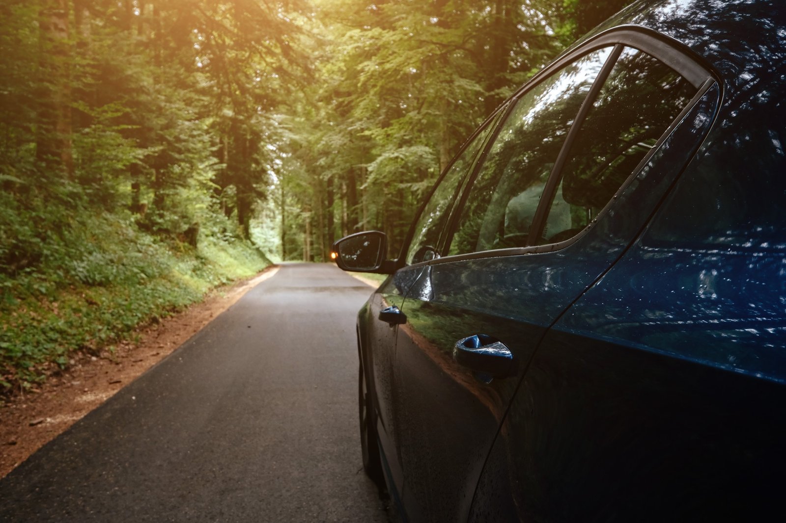 Auto unter Bäumen mit Vogelkot bedeckt
